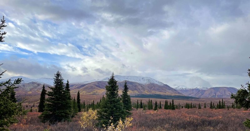 アラスカ旅 DAY9 - Denali 紅葉と雪とオーロラ