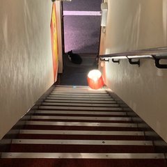 追われ者 こうしてボクは上場企業社長の座を追い落とされた
