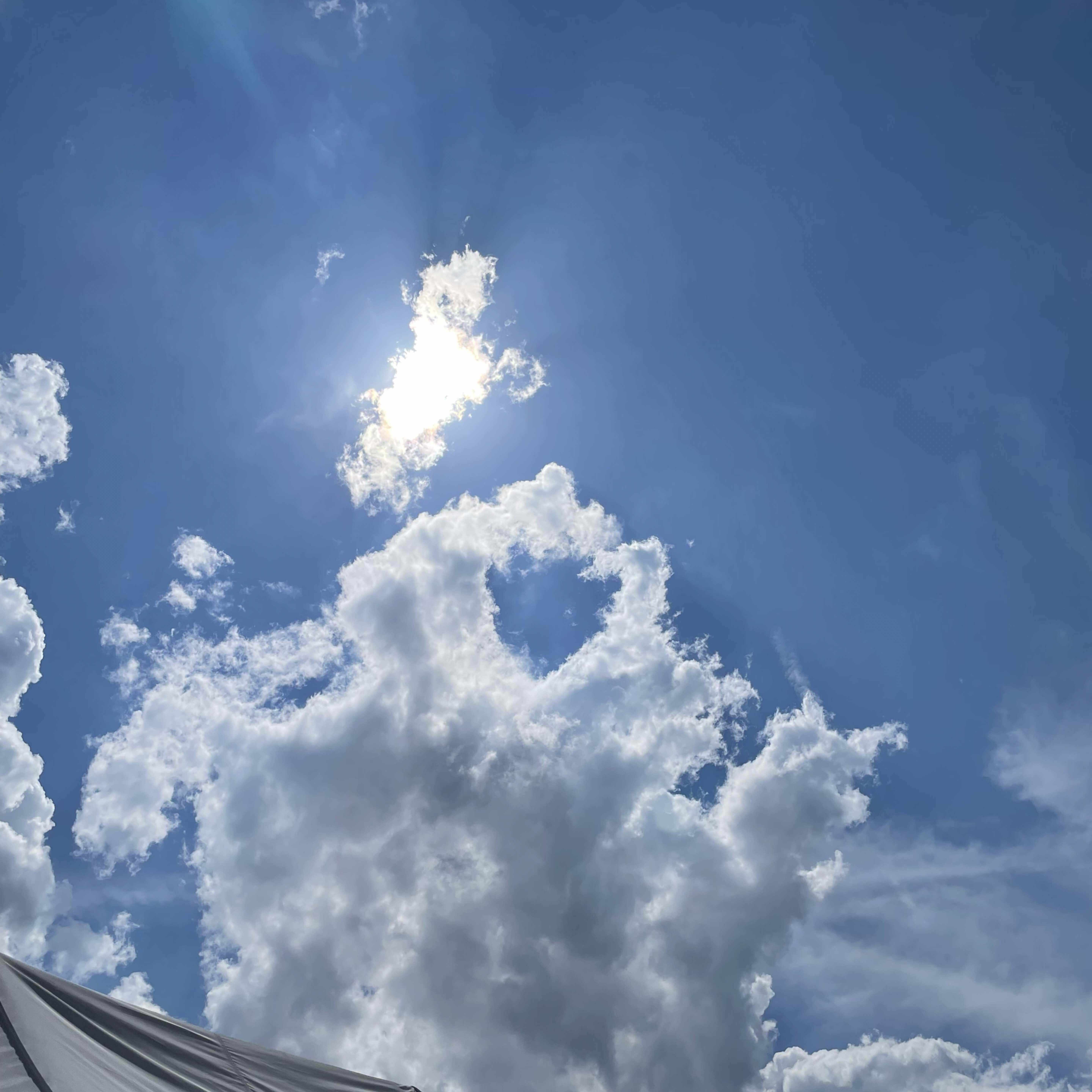 古井由吉全集｜鈴木寿