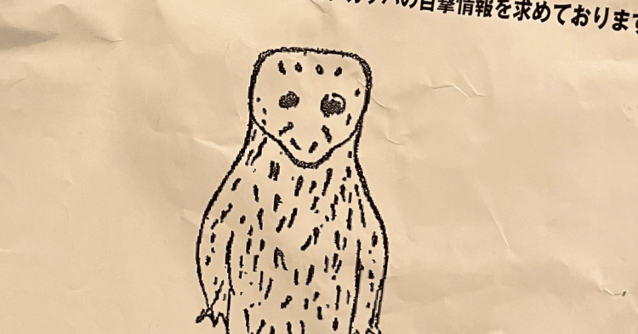 カッパ｜朝日焼作陶館　asahisakuto｜note