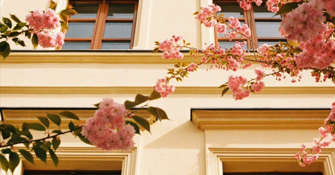 歌詞紹介 桜 Yuichiro Note