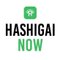 HASHIGAI NOW