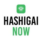 HASHIGAI NOW