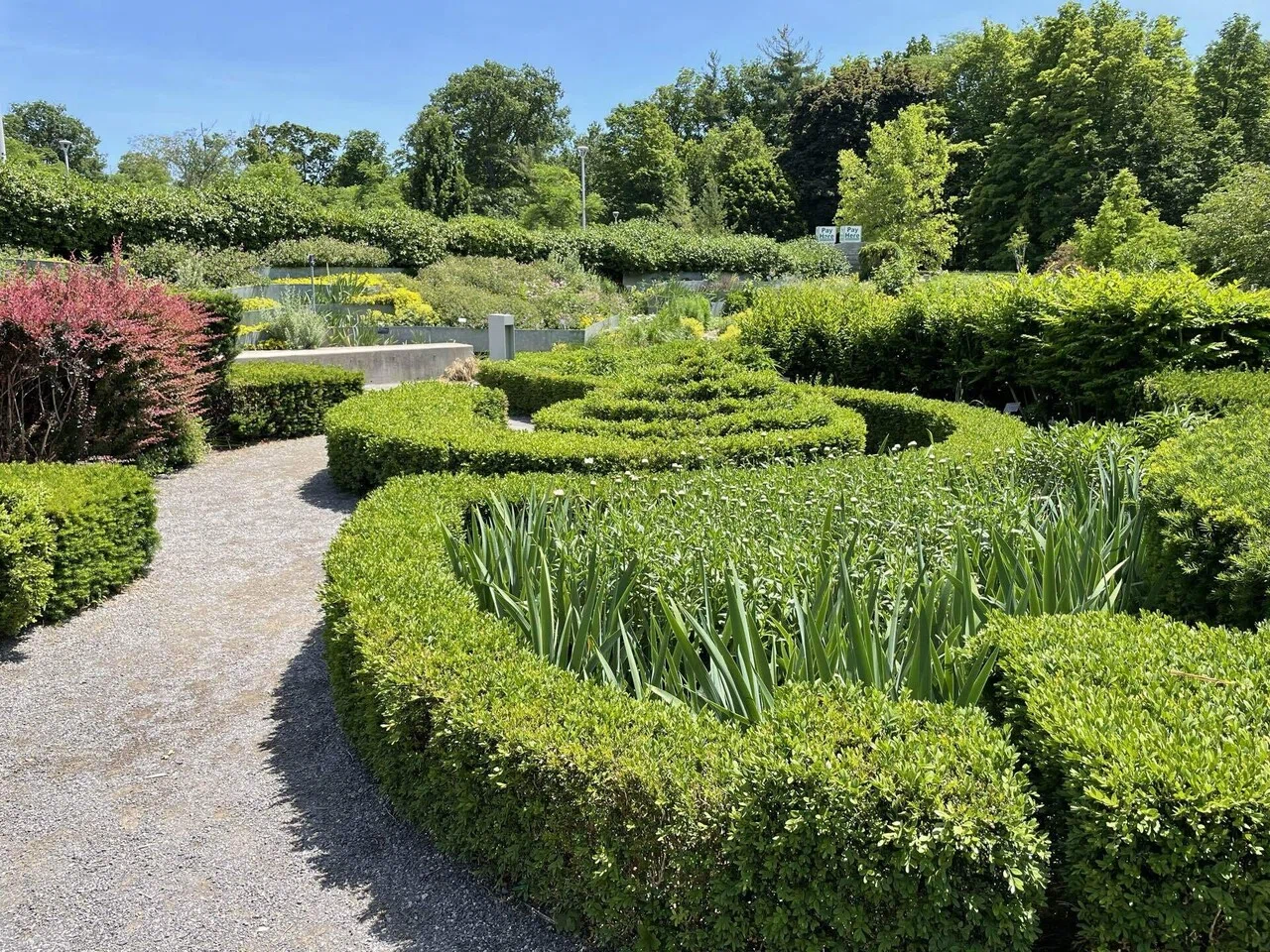 25 Torontoの公園｜ikabodo