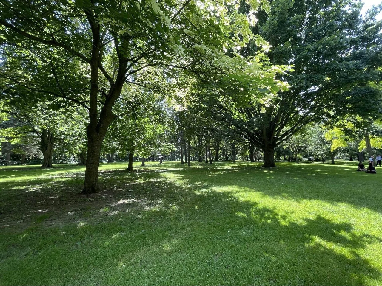 25 Torontoの公園｜ikabodo