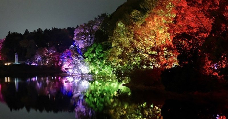 チームラボ「森と湖の光の祭」
飯能 メッツァビレッジで
光の魔法使いになってきた。