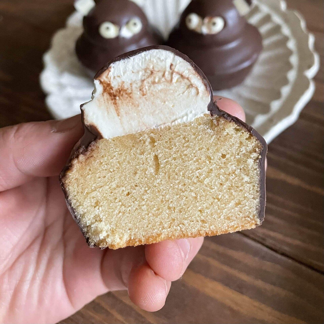 絶滅危惧種の保護活動～たぬきケーキ作ってみた～｜mako yamamoto