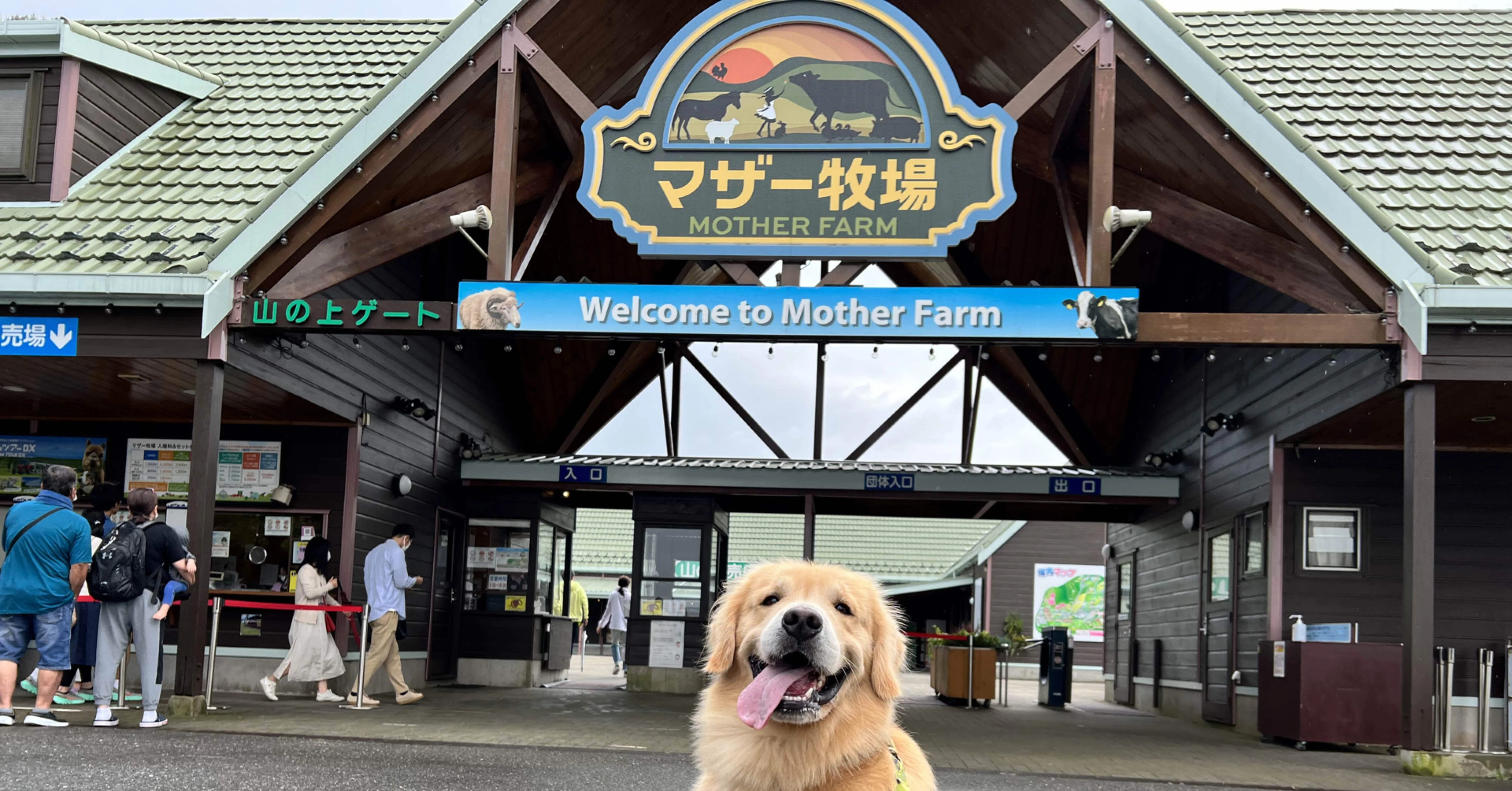 千葉マザー牧場へ 中 大型犬グッズショップeve S House Eve S House Note