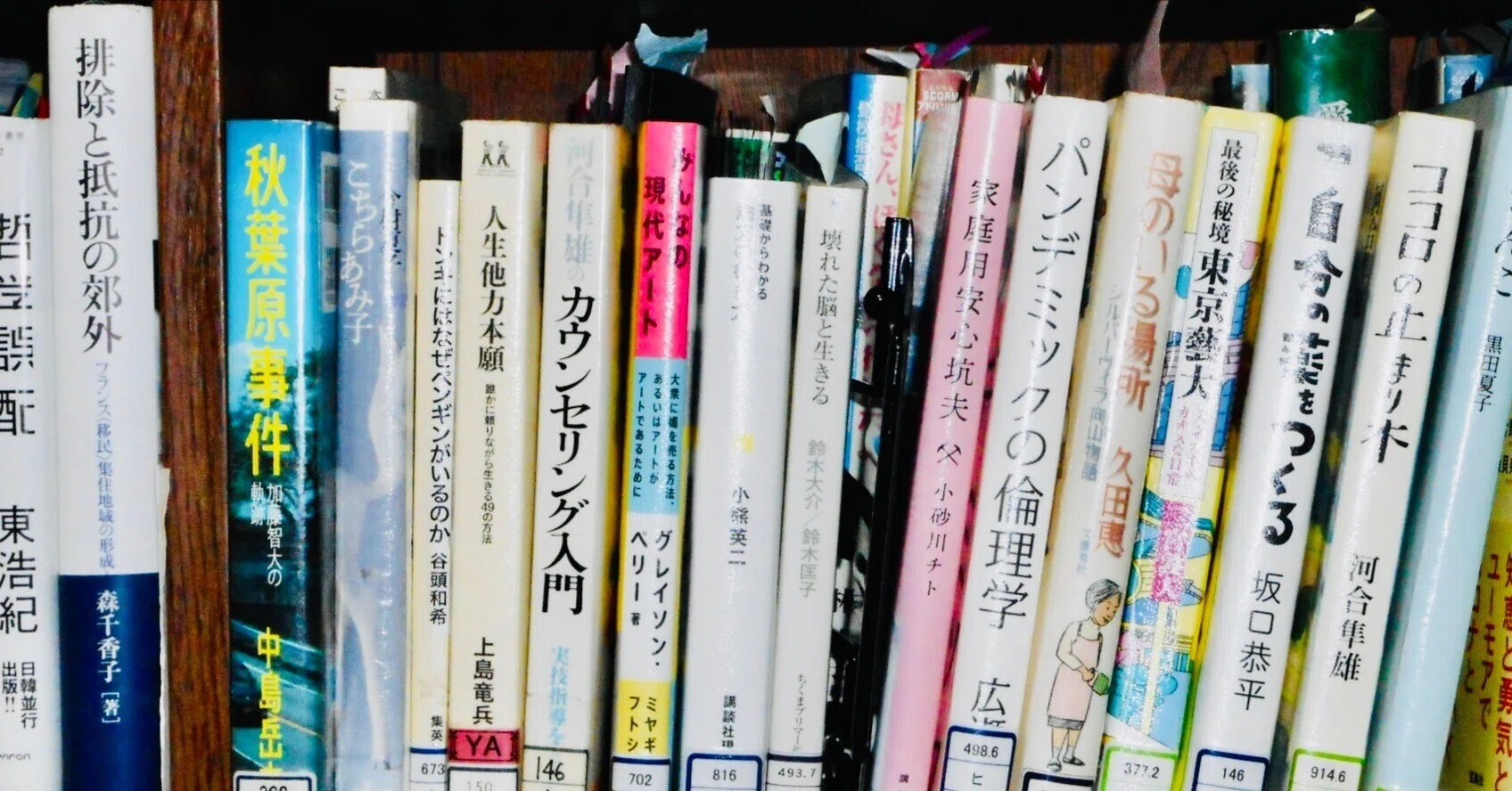 読書感想 『家庭用安心坑夫』 小砂川チト 「未知の世界の現実感 