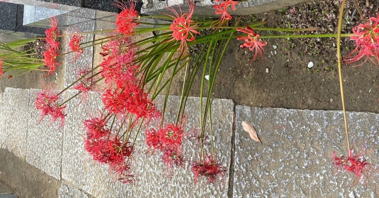 秋の彼岸の中日でした はそやm Note