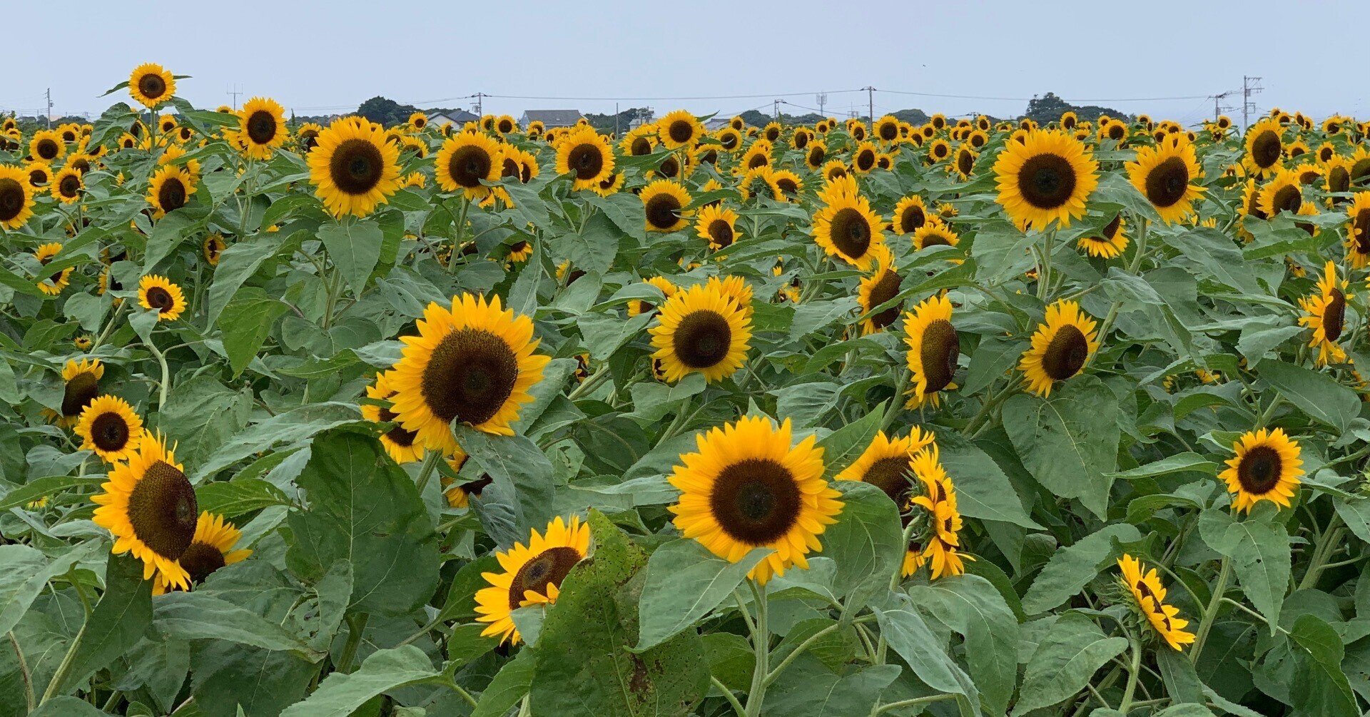 週末フリーライターになったわけ あや Note 週末フリーライターになったわけ あや Note