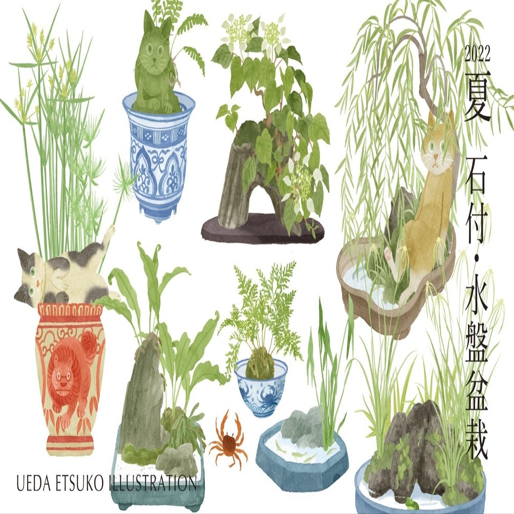 夏の盆栽｜Etsu