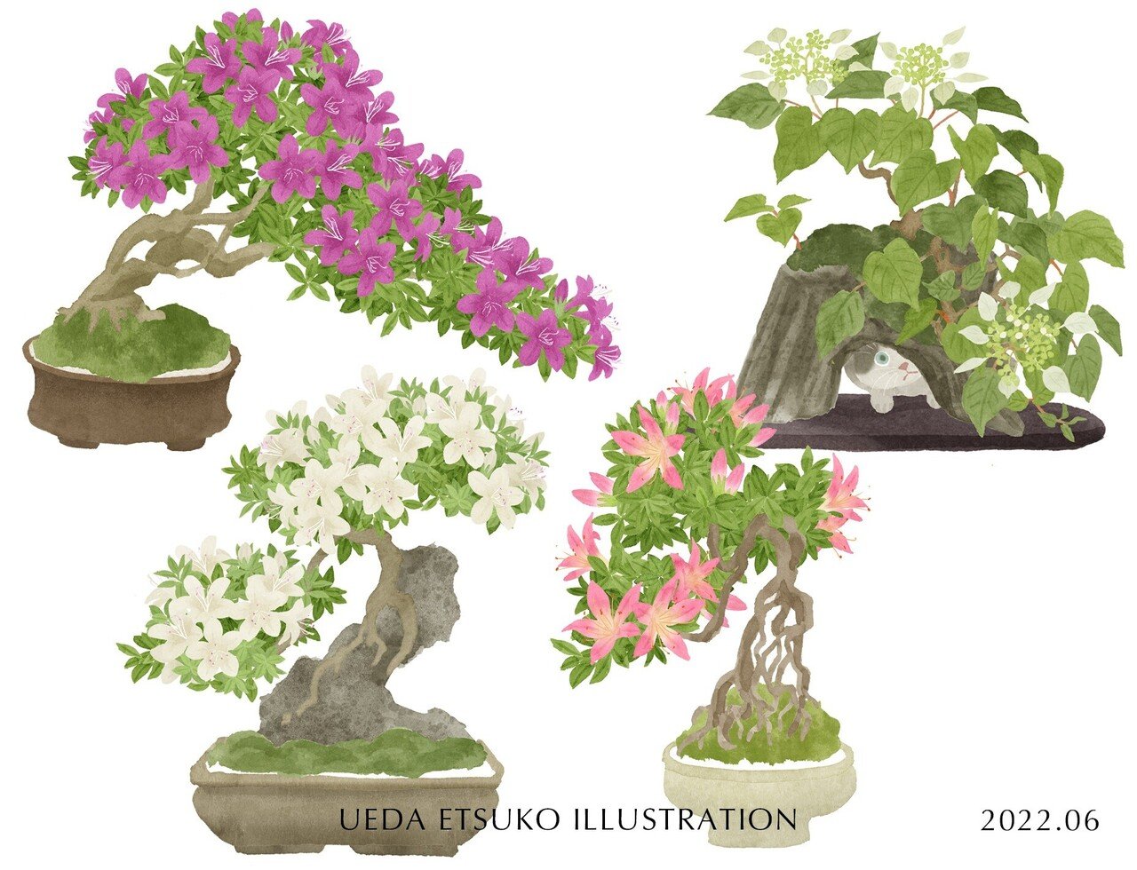 Edybgi Nahbt2m Edybgi Nahbt2m