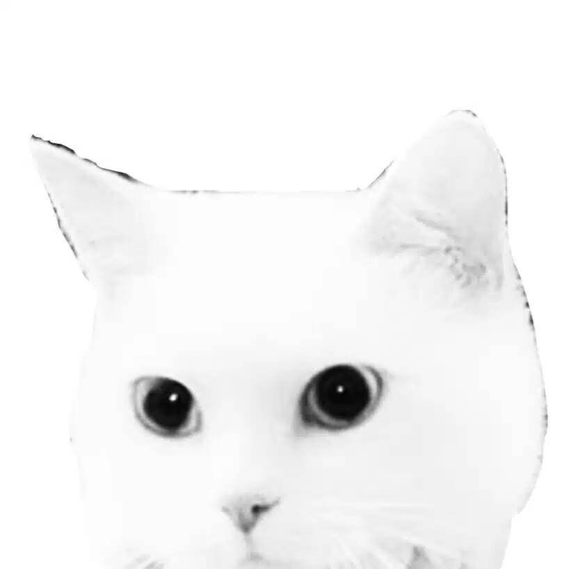 美忘録