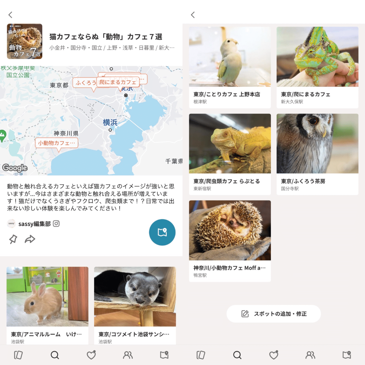 まとめマップ 猫カフェならぬ 動物 カフェ７選 Sassy サッシー 編集部 Note
