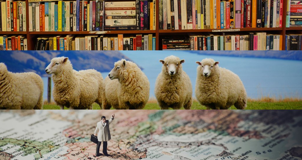 黒駒(黒こま)/kurokoma|note