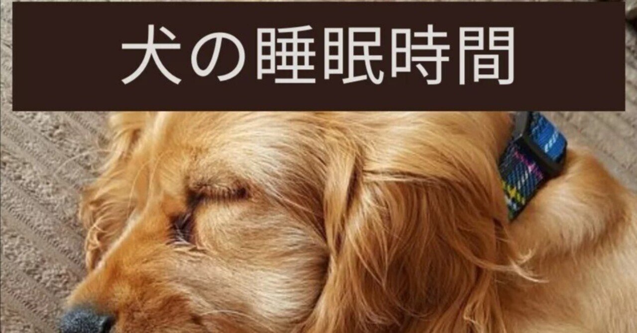 犬の睡眠時間 の新着タグ記事一覧 Note つくる つながる とどける