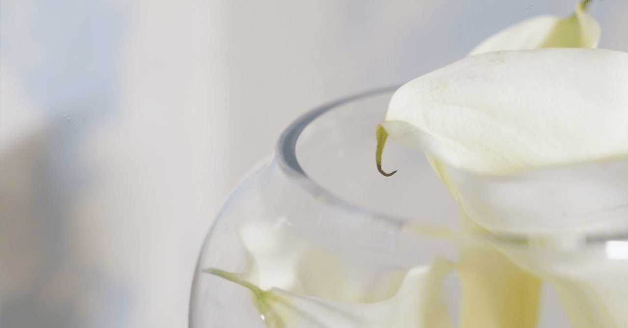 パンを味わいながら物思いにふける とまの備忘録 Note パンを味わいながら物思いにふける とまの備忘録 Note