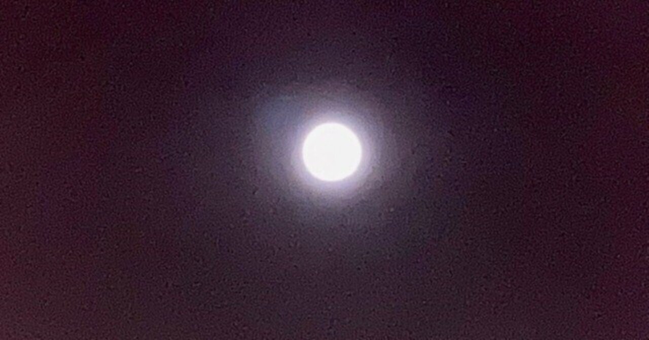 真面目な異常 ケンちゃん Note