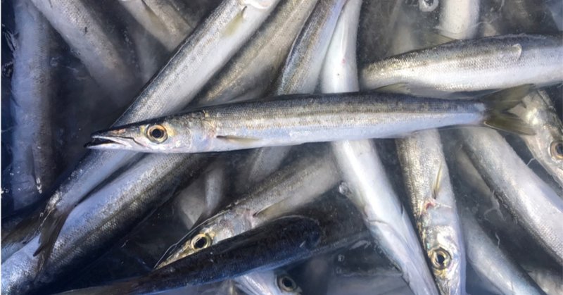 ヤマトカマス の新着タグ記事一覧 Note つくる つながる とどける