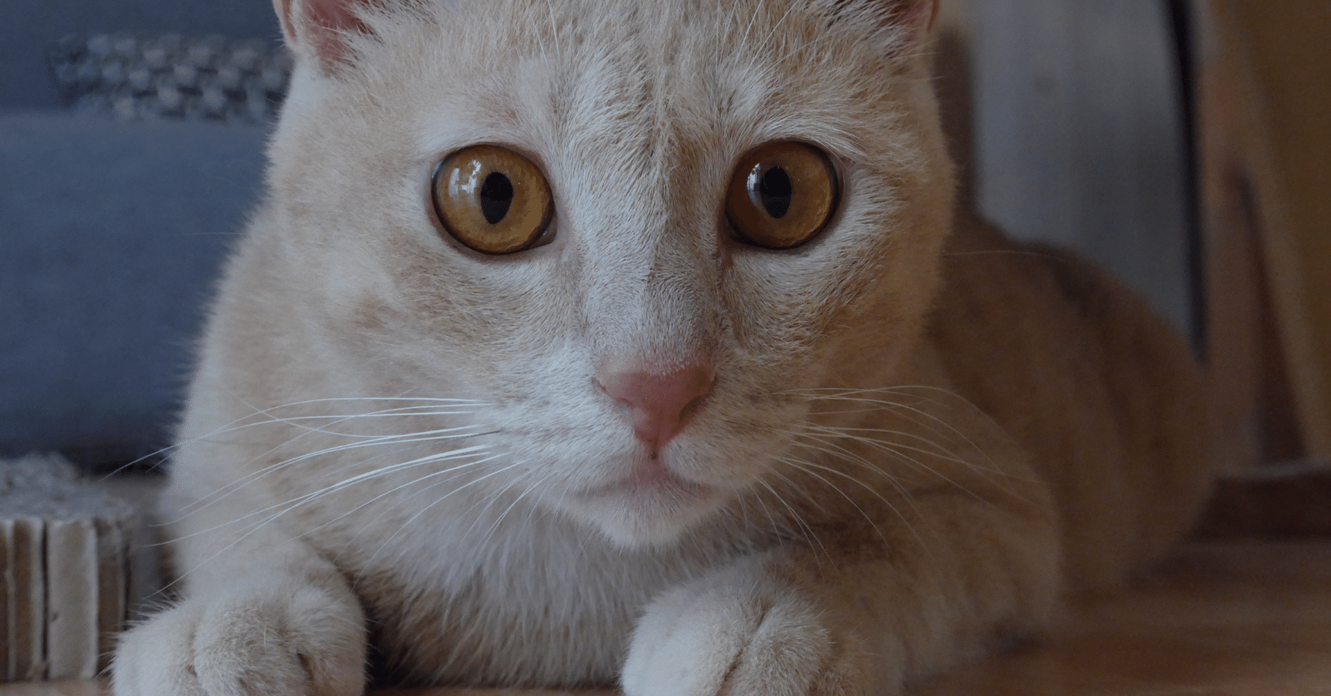 良い方へ風向きが変わる事を空に願おう思う 旦 由依 Note 良い方へ風向きが変わる事を空に願おう思う 旦 由依 Note