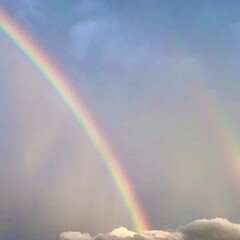 W_Rainbows