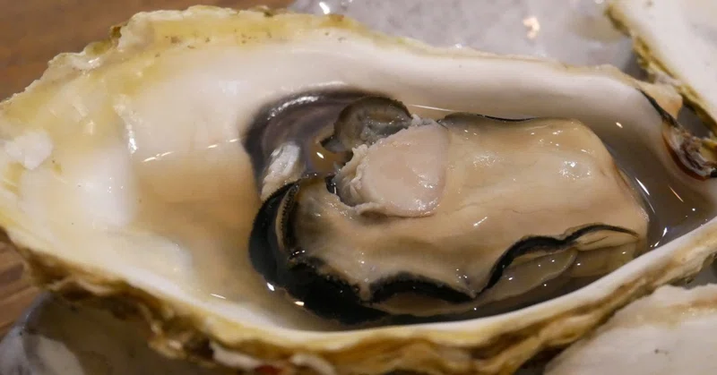魚谷屋漁師ナイト 牡蠣漁師がやってきたよ 思うように牡蠣をつくることができないそのワケは おがたきりこ 旅するフリーライター Note