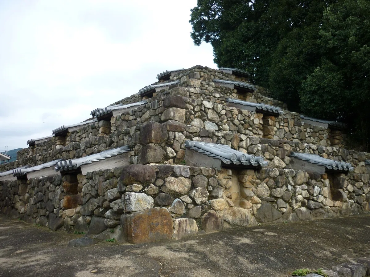 画像7