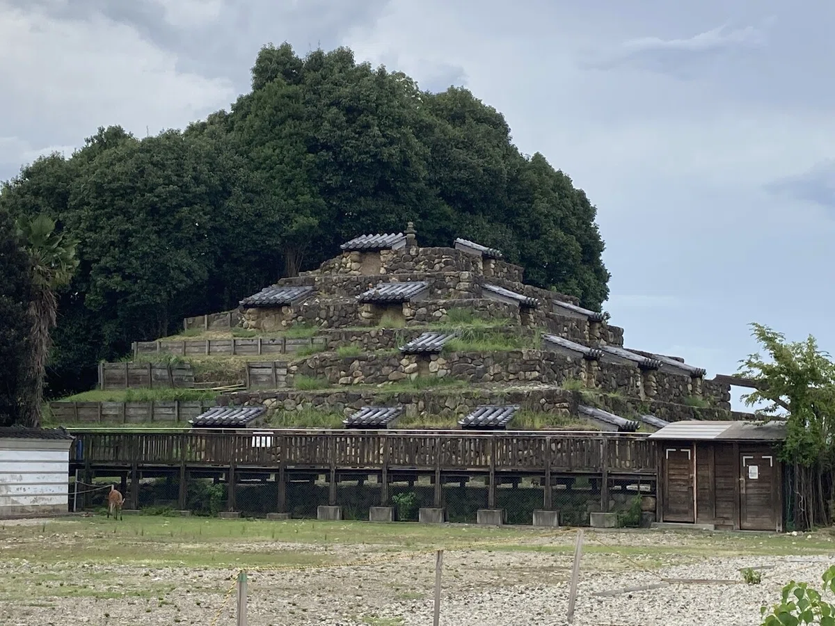 画像14