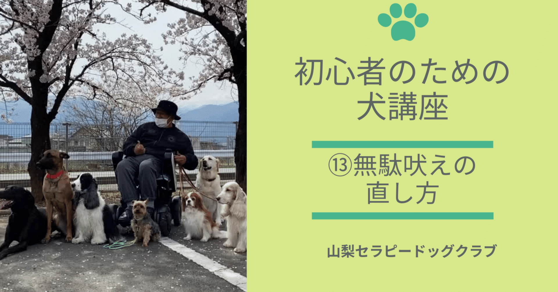 初心者のための犬講座 無駄吠えの直し方 山梨セラピードッグクラブ Yamanashi Therapy Dog Club Note