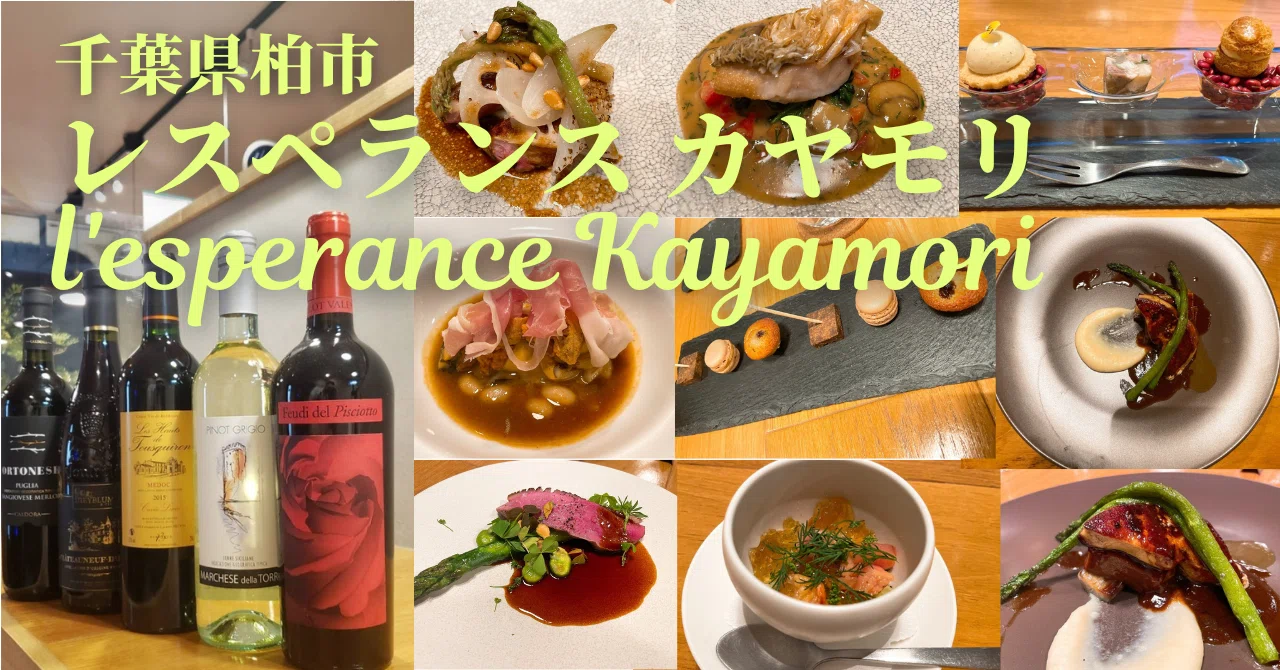 千葉県柏市 レスペランス カヤモリ （l'esperance Kayamori）｜AlcotradeTrust
