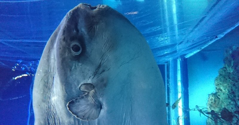 おこりんぼうをやめる すずきみなと ぺぺぺの会 Note