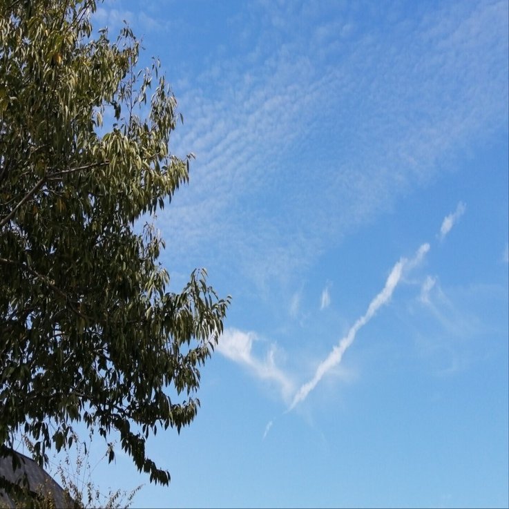 空に龍雲が見えたとき 蓮 Ren Note