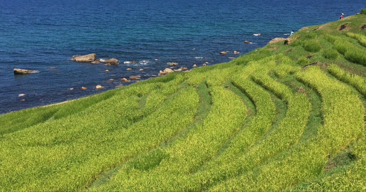能登の里山里海をのんびり眺める、電車の旅をしてきました｜中