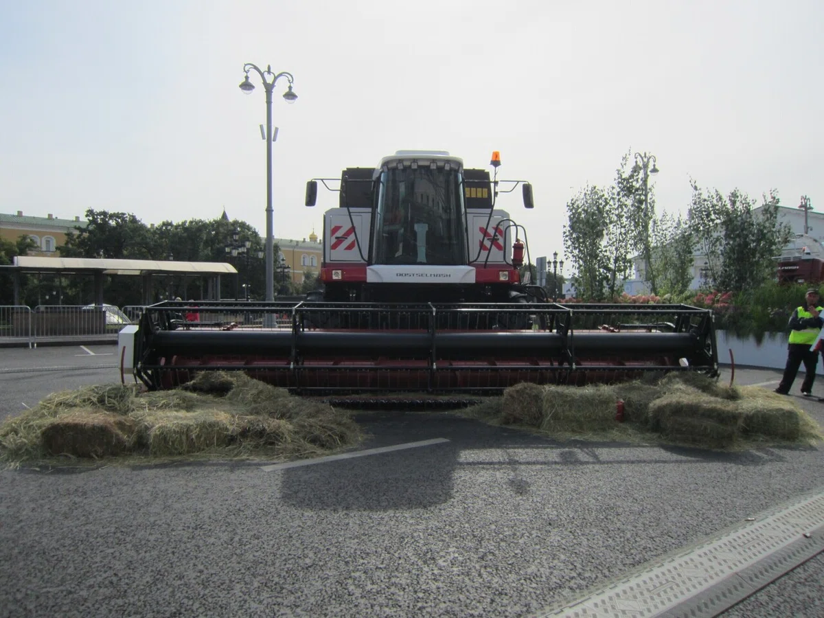 画像37