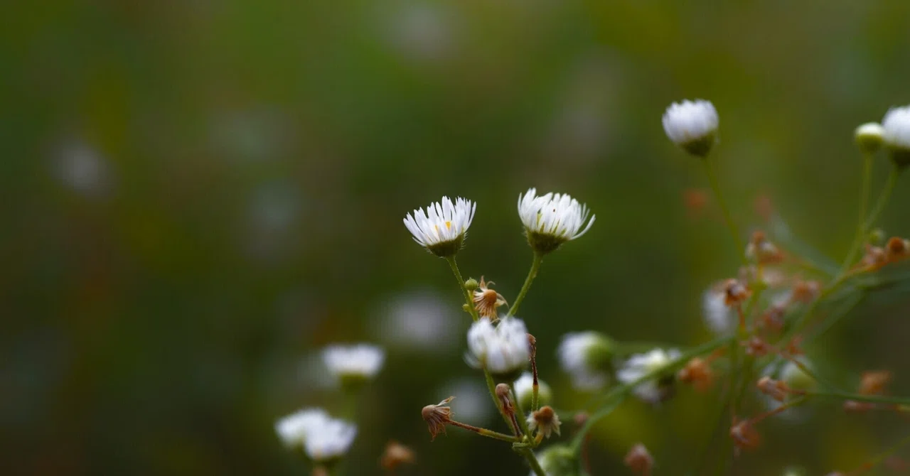 Prioritize Recharging Yourself: Tips for Introverts Working in ...