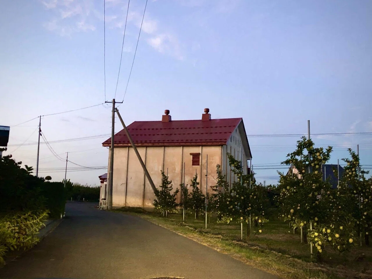 夕方のりんご 藤島アラン Note 夕方のりんご 藤島アラン Note