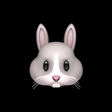 rabbit_clinic