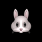 rabbit_clinic