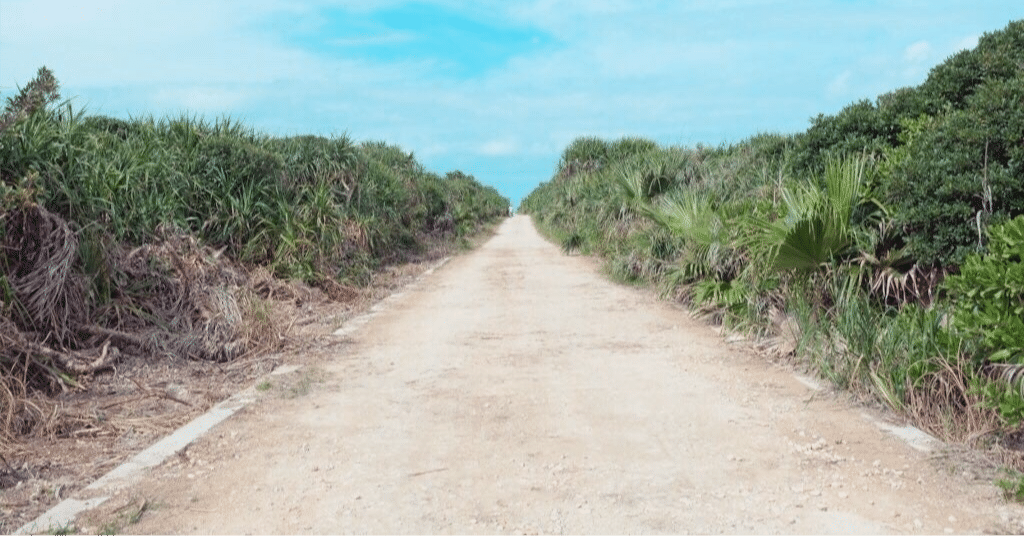 神の島」久高島のイザイホー｜にこ千鳥