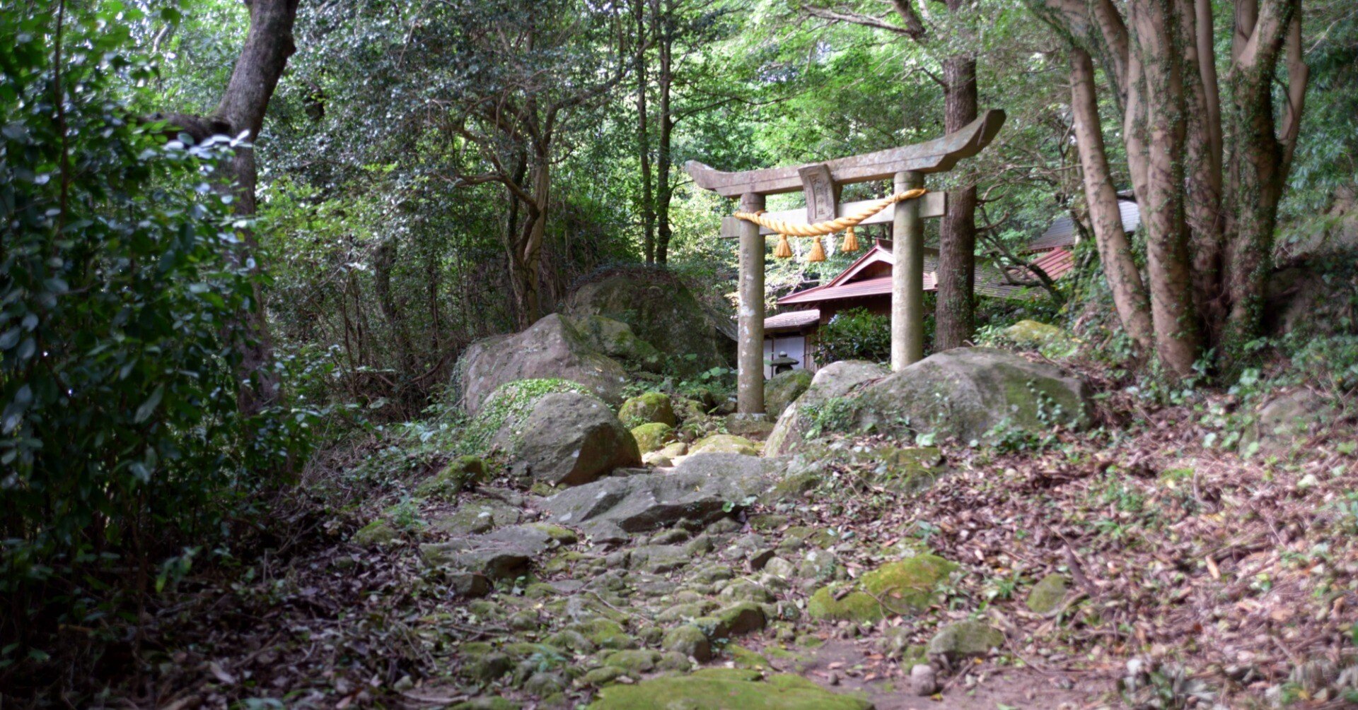 くも猫ふわふわ日記 矢岳神社に行く。｜雲 ねこ 日誌