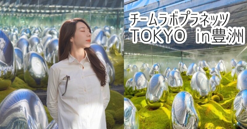 デジタルアートの世界が広がる！チームラボプラネッツ TOKYO DMM豊洲での体験をレポート
