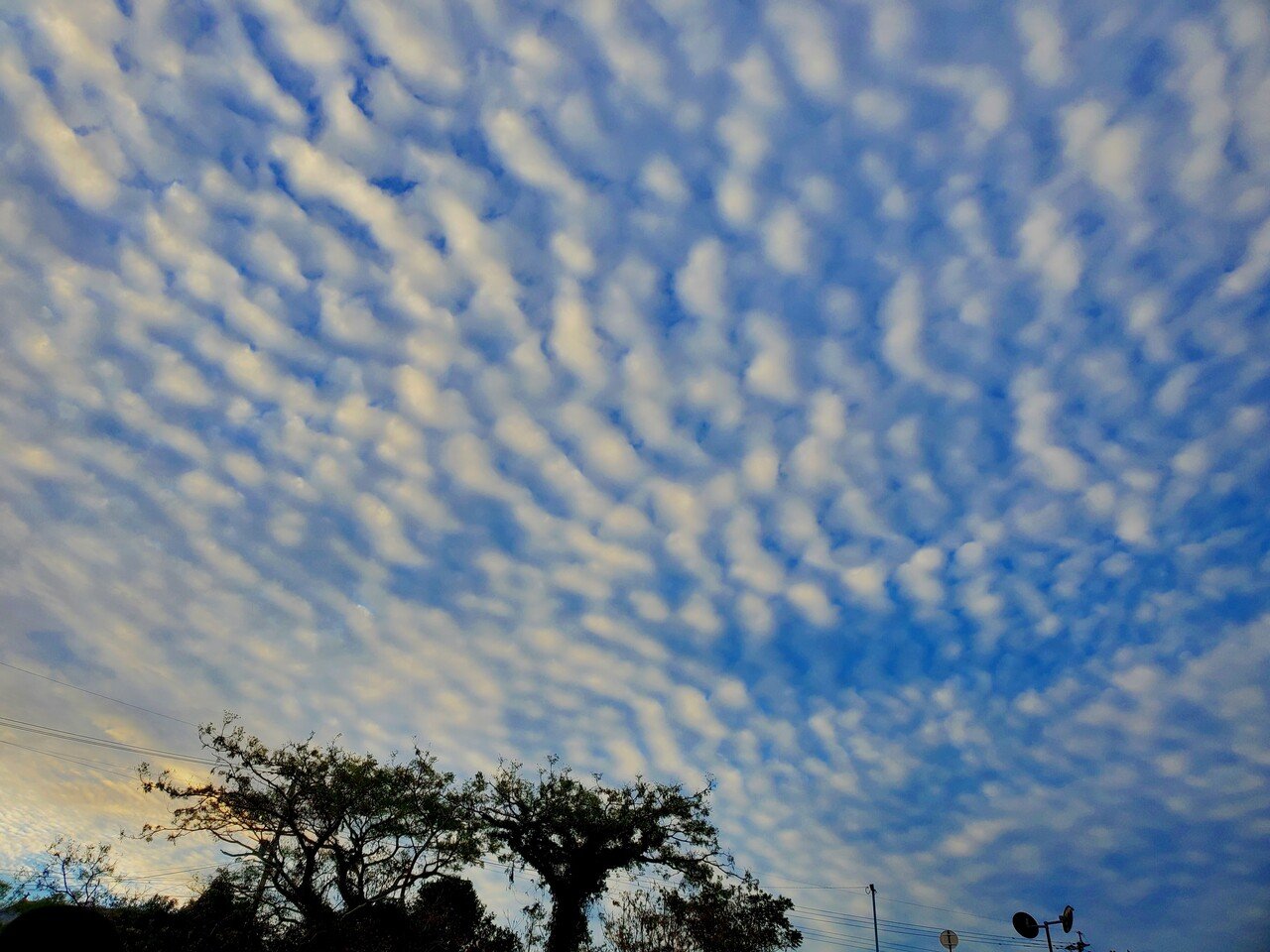 今朝の空です もこもこひつじ雲 かにまゆ Note