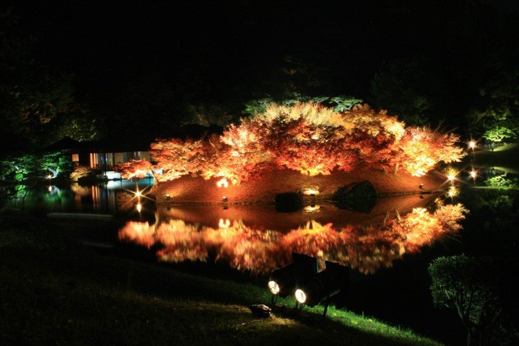 池に反射する紅葉のライトアップ