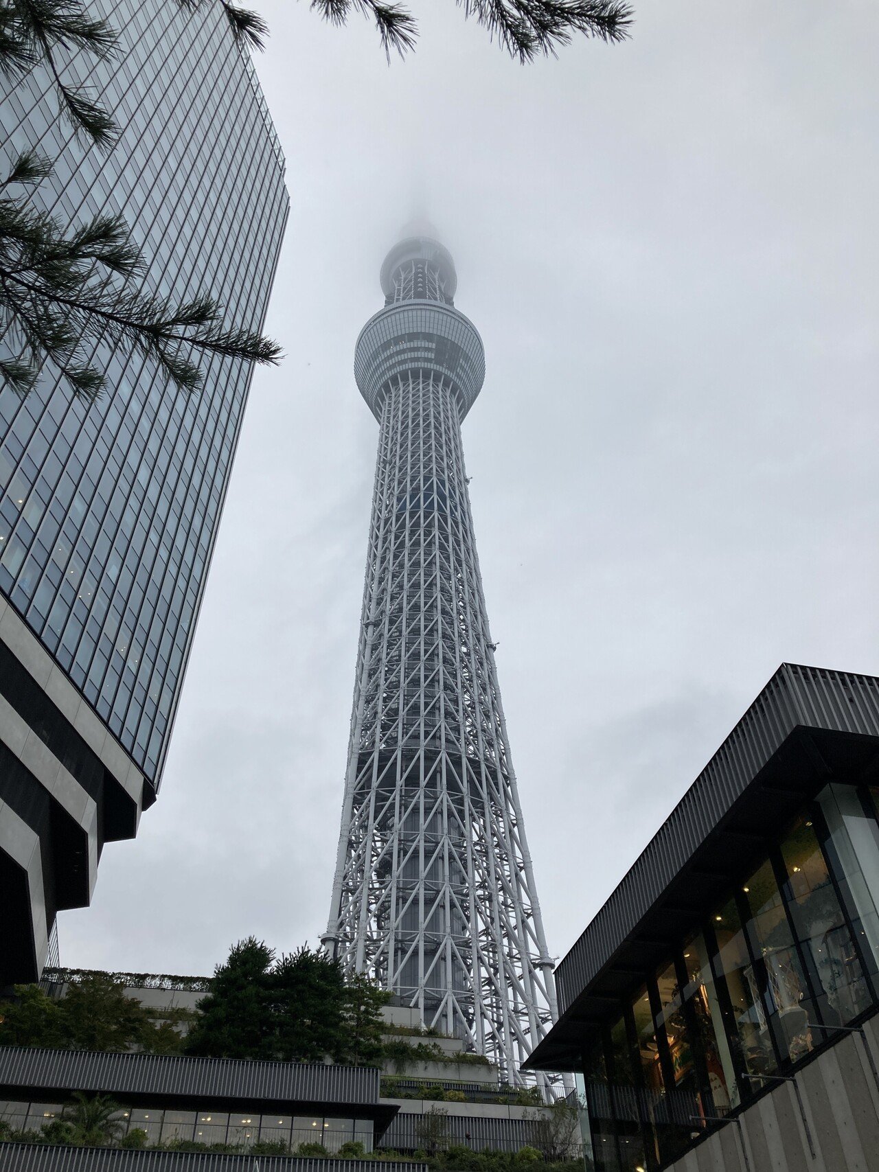 無計画旅行 東京都内 Sasa Note 無計画旅行 東京都内 Sasa Note