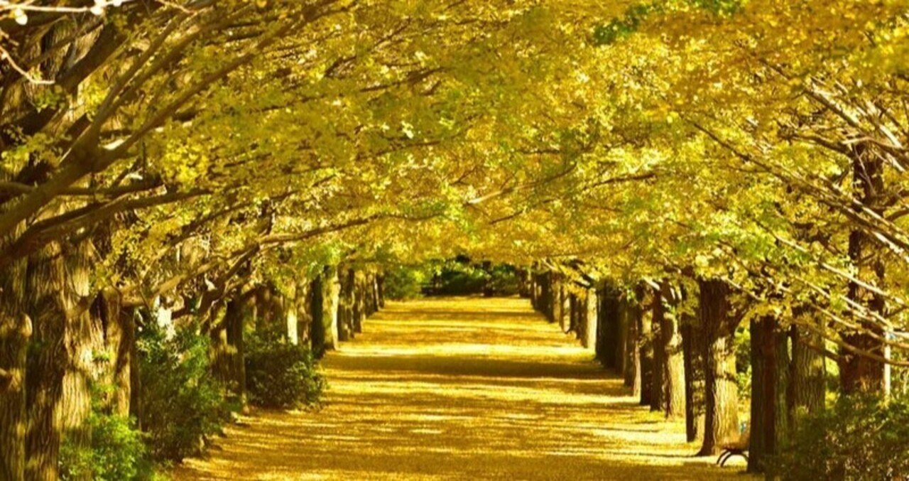 音楽の秋に聴きたい日本の音楽 南佳孝の曲 Negomasa Note 音楽の秋に聴きたい日本の音楽 南佳孝の曲 Negomasa Note