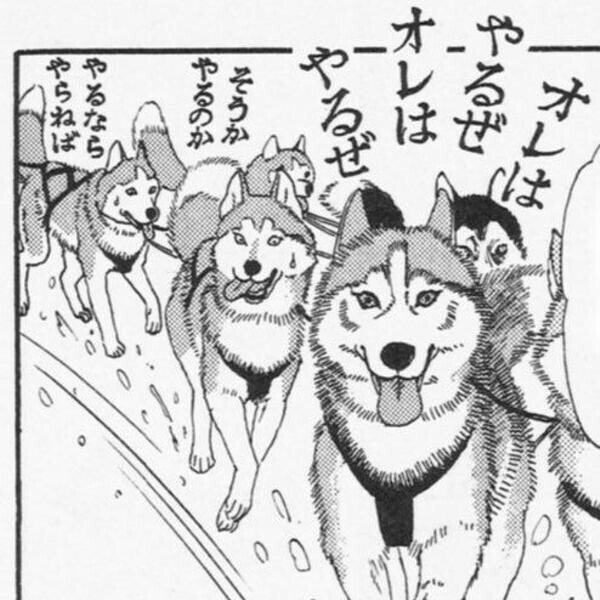 自分図書 動物のお医者さん Ria Note
