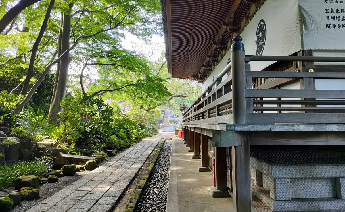画像5