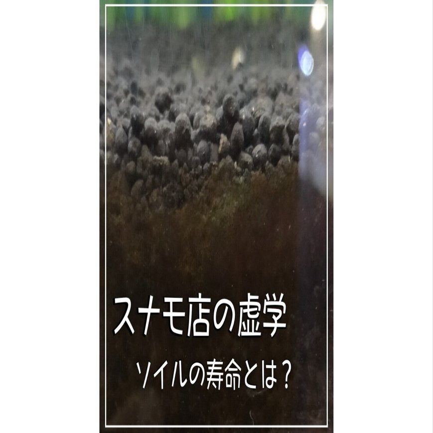 ソイルの寿命についてお話します アクアステージ21スナモ店 Note