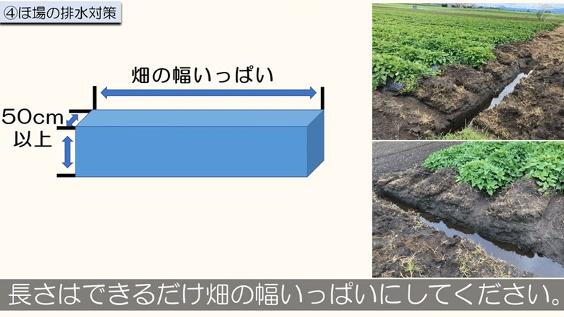 「サツマイモ基腐病」対策のポイント　－降雨前の薬剤散布と排水対策－ 4-12 screenshot
